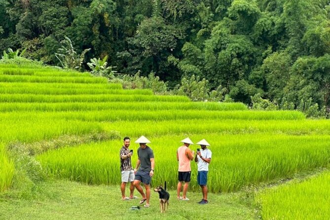 Full-Day Doi Inthanon National Park Tour with Trek and Pagodas - From Chiang Mai at 7:30 to the roof of Thailand