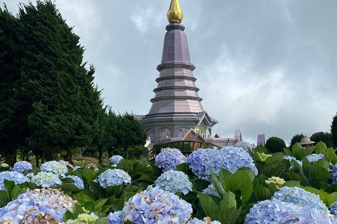 Full-Day Doi Inthanon National Park Tour with Trek and Pagodas - Hmong Market lunch (and more than just food)