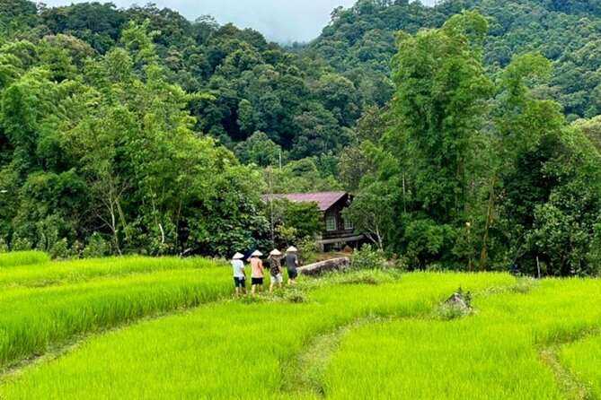 Full-Day Doi Inthanon National Park Tour with Trek and Pagodas - Coffee at Baan Mae Klang Luang: a calmer breather before the falls
