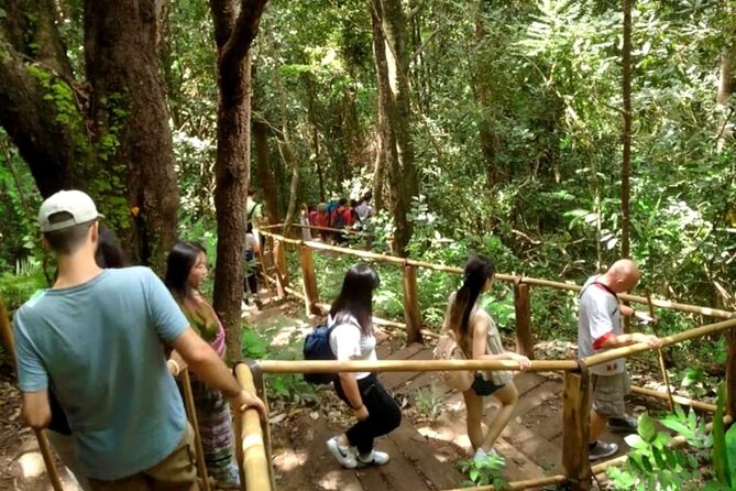 Full-Day Doi Inthanon National Park Tour with Trek and Pagodas - Price and value: $61.74 for a lot of stops