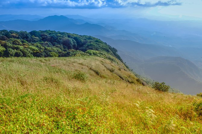 Full-Day Doi Inthanon Nature Tour from Chiang Mai - Price and value: what $163.20 is buying you in real terms