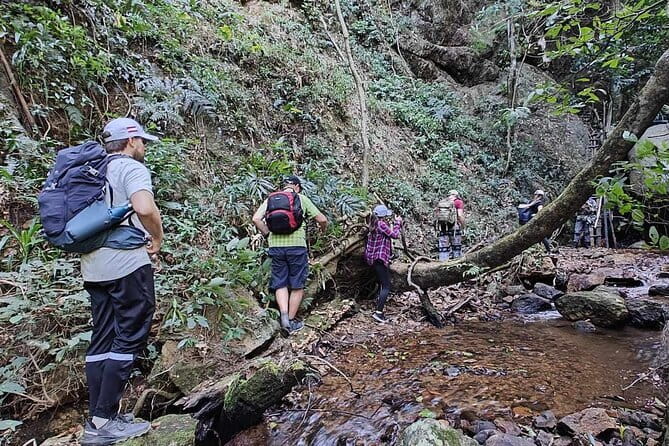 Full Day Doi Saket Hiking Tour - Key points