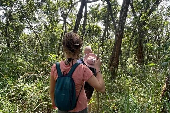 Full Day Doi Saket Hiking Tour - The afternoon: keep expectations realistic