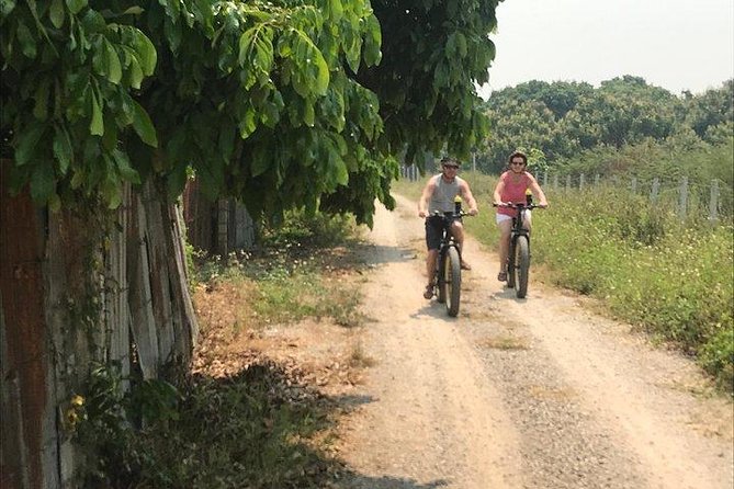 Full-day E-bike Countryside and Nam Phrae (flat-hilly, GUIDED) - Lunch Break: Included Food Beats The Usual Guessing Game