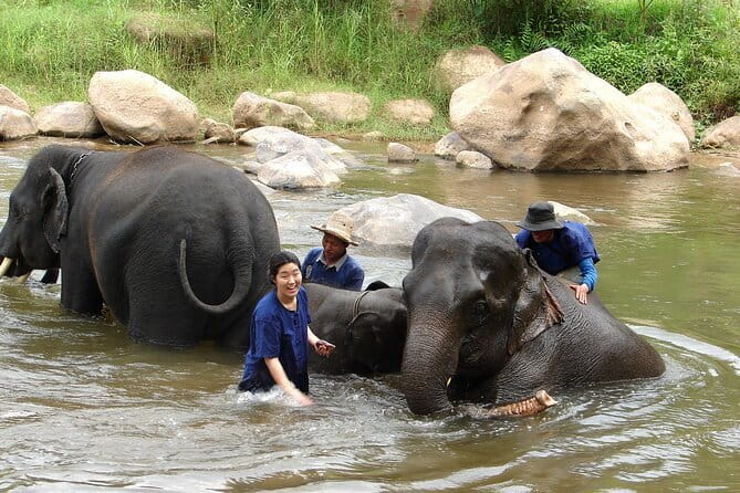 Full Day Elephant Bathing and Bamboo Rafting Tour in Chiang Mai - Why This Elephant-Bathing + Bamboo-Raft Day Works