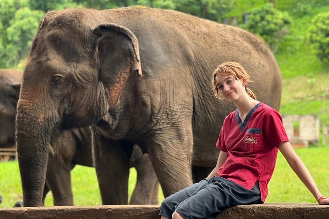 Full Day Experience at Ran-Tong Save & Rescue Elephant Centre - Timing, Group Size, and How This Feels Day-to-Day