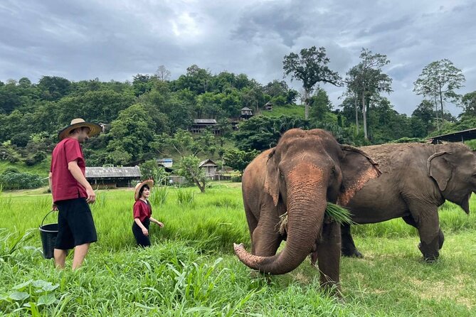Full Day Experience at Ran-Tong Save & Rescue Elephant Centre - Changing Into Mahout-Style Karen Clothes (And Why It Helps)