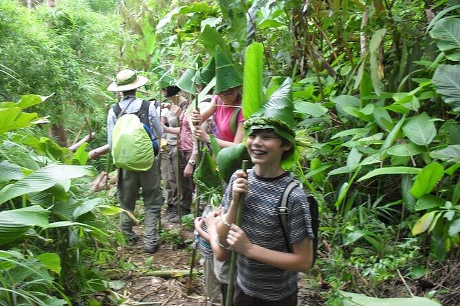 Full Day Group Tour in Chiang Rai - Choui Fong Tea plantation: a calm pause with real northern Thailand flavor