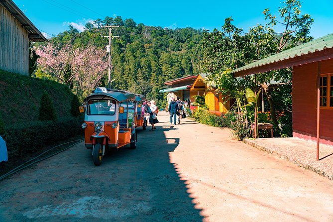 Full-Day Guided Tuk Tuk Chiang Mai Adventure and Rafting - Bamboo rafting downstream: gentle, fun, and slightly chaotic in a good way