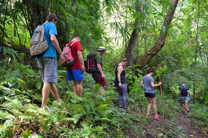 Full-Day Hike and Bike Tour from Chiang Mai - Quick hits from Mae Sa Valley (the stuff that matters)
