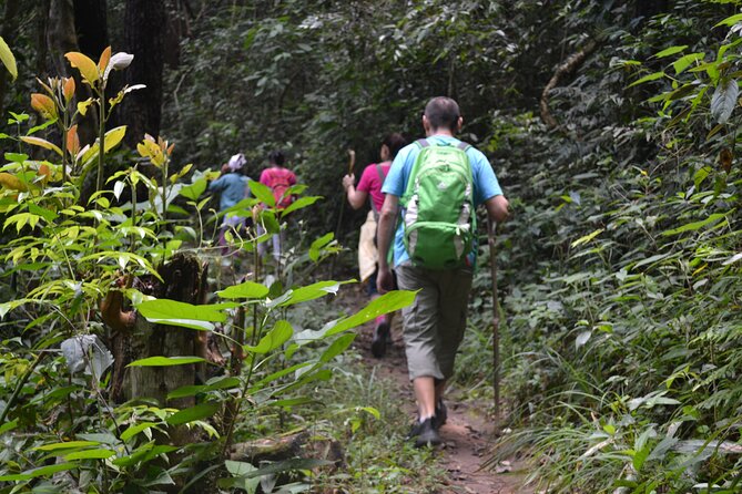 Full-Day Hike and Bike Tour from Chiang Mai - Wat Ban Den: a short temple stop that resets the morning