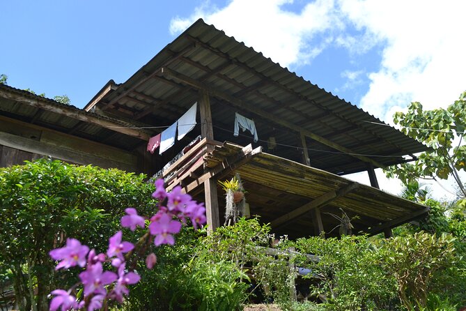 Full-Day Hike and Bike Tour from Chiang Mai - Waterfall snack and Thai lunch: where the day slows down for real