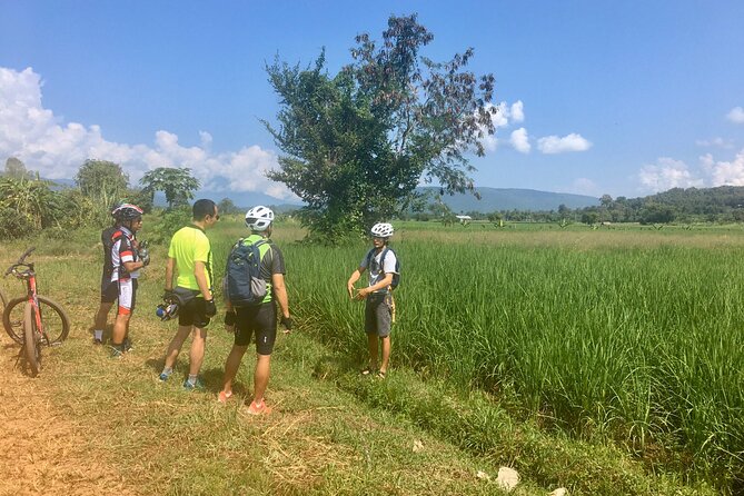 Full-Day Hike and Bike Tour from Chiang Mai - The bike ride: rural roads, mixed surfaces, and less “easy downhill” than you think