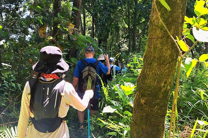 Full-Day Hike and Bike Tour from Chiang Mai - English-speaking guiding: pace control and small moments