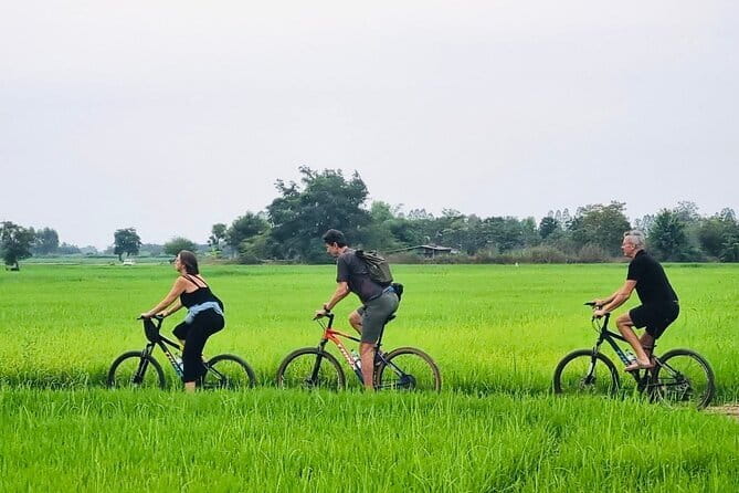 Full-Day Historical Park and Countryside Tour in Sukhothai - Wat Chetuphon: a temple complex with statue positions that tell a story