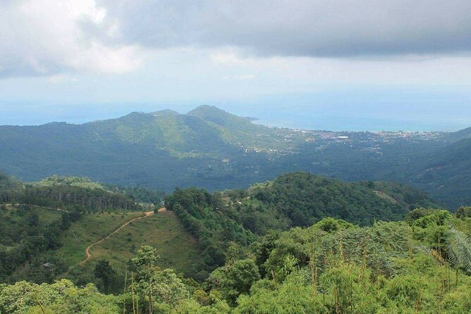 Full-Day Jeep Safari with the Highlights of Koh Samui - Waterfall Time and Tropical Fruit Tasting