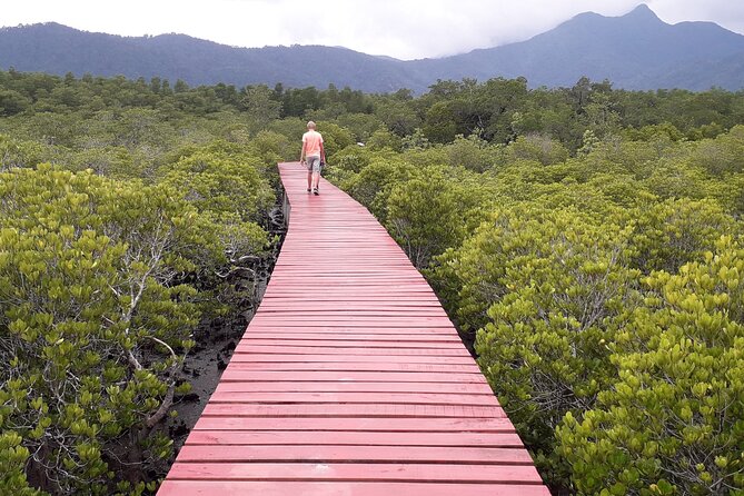 Full-Day Koh Chang Tour with Lunch - Salak Kok mangroves: choose boat or kayak through protected forest