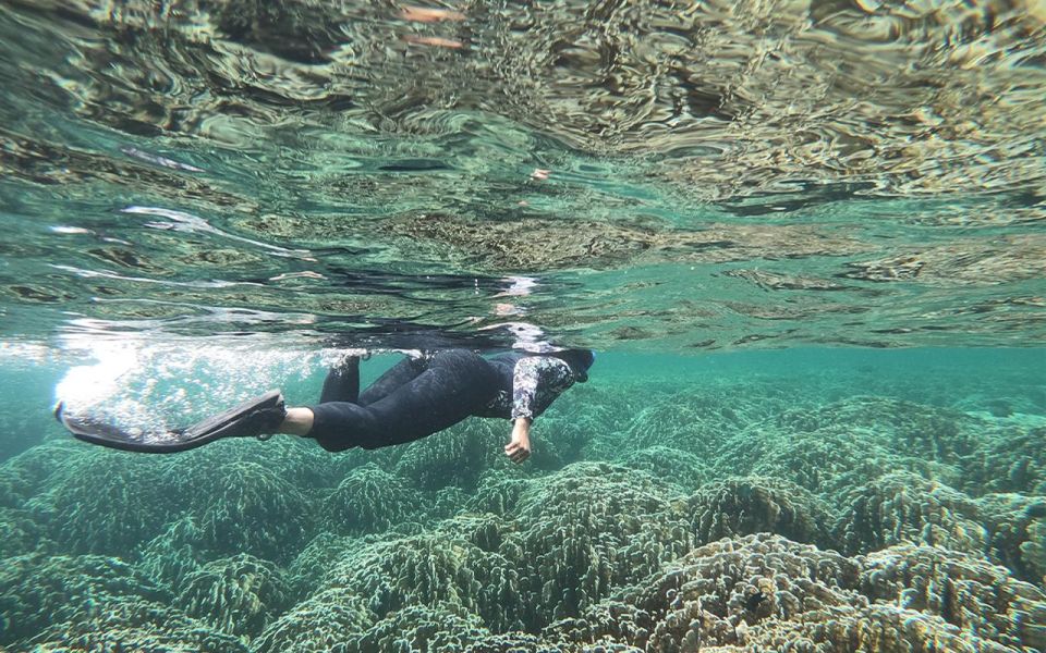 Full-Day Koh Lipe 7 points Snorkeling Experience with Lunch - Ao Kamnan to Koh Ro Kloy: hard corals and bright sand