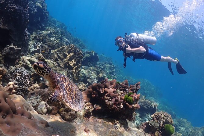Full-Day Koh Phi Phi Scuba Diving Course from Phuket - Who This Trip Fits Best (and Who Should Skip It)