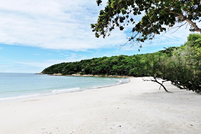 Full-Day on Koh Samet from Pattaya - Your Koh Samet island block: swimming, sunbathing, and easy freedom
