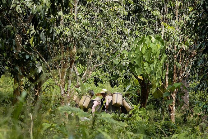 Full-Day Phuket Elephant Sanctuary Tour with Lunch and Dinner - Food, Breaks, and Heat: Practical Comfort Tips for Your Day