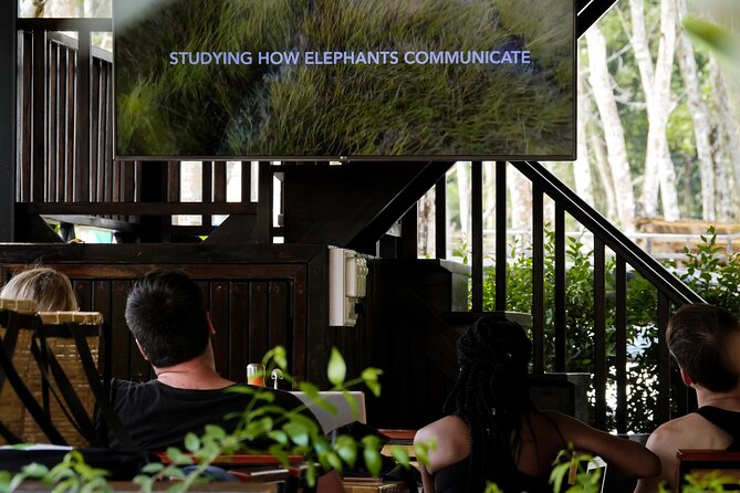 Full-Day Phuket Elephant Sanctuary Tour with Lunch and Dinner - Morning Orientation: Video, Then the Sanctuary Walk on 30 Acres