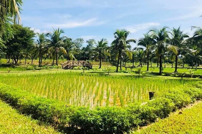 Full-Day Phuket Local Life Culture Tour with Pickup and Lunch - Karon Viewpoint and Promthep Cape: why these stops are timed for photos