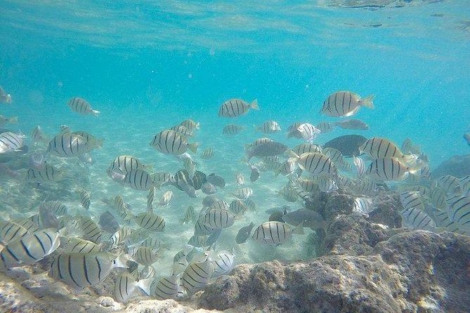 Full-Day Racha Noi and Racha Yai Snorkeling from Phuket - Koh Racha Yai: The Later Stop That Can Feel More Challenging