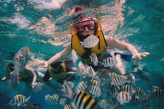 Full-Day Racha Noi and Racha Yai Snorkeling from Phuket - Safety, Sea Conditions, and Motion Sickness Reality Check