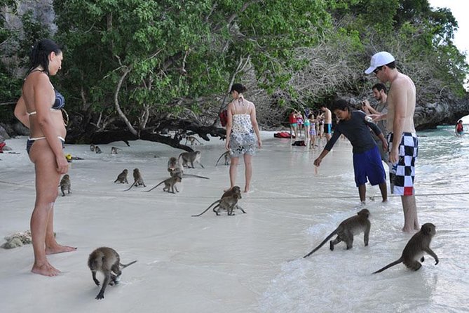 Full Day & Sunset Phi Phi Islands Tour From Phi Phi by Speedboat - Mosquito Island and Hin Klang marine park snorkeling