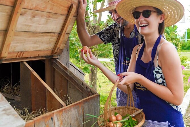 Full-Day Thai Cooking Class with Grandma - Market and Farm Tour - The Organic Farm Tour: Rice Fields, Chickens, Eggs, and Mushrooms