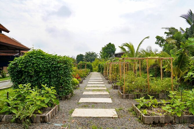 Full-Day Thai Cooking Class with Grandma - Market and Farm Tour - The Meal Itself: Welcome Drinks, Water, and Your Countryside Feast