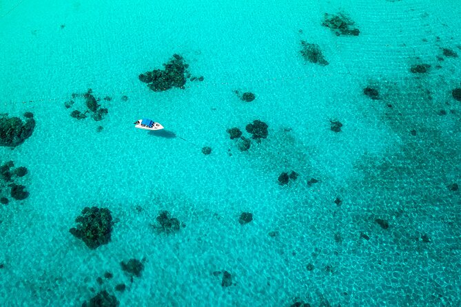 Full-day Tour to the Similan Islands by Speedboat from Khao Lak - Ko Miang (Island 4) Lunch: Thai Buffet and Time to Reset