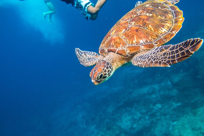 Full-day Tour to the Similan Islands by Speedboat from Khao Lak - Price and Value: What You’re Actually Paying For