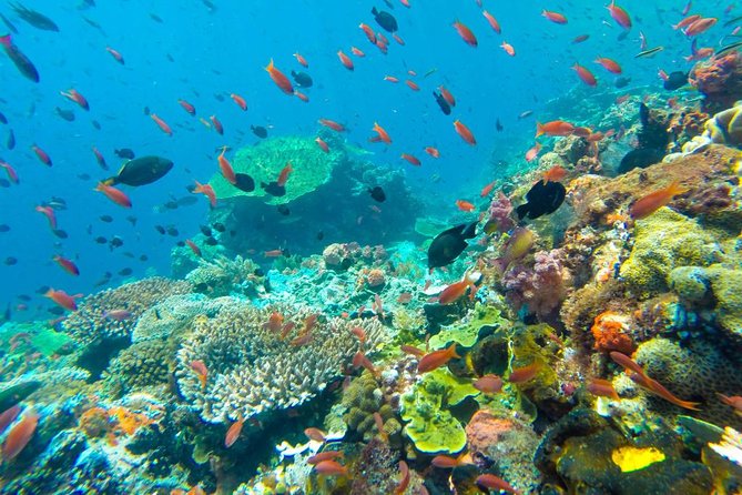 Full-Day Trip to Koh Tao and Koh Nang Yuan from Koh Samui by Speedboat - Why This Koh Tao + Koh Nang Yuan Speedboat Combo Works From Koh Samui