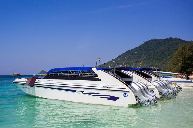 Full Moon Party by Speed Boat Transfer from Koh Samui - Tickets, the THB200 entrance fee, and mobile tickets