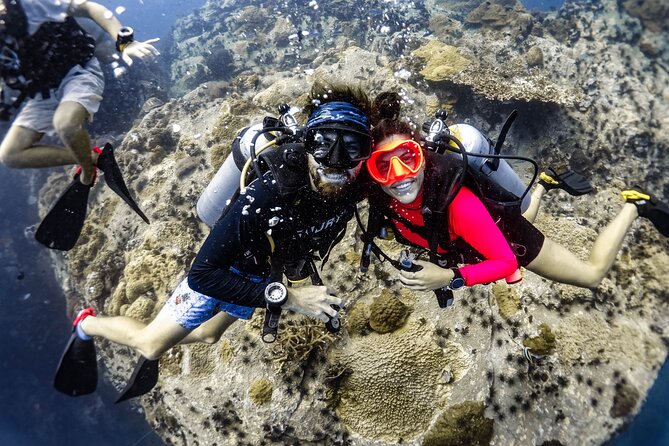 Fun Diving Packages (Certified Divers) - Key highlights worth timing your day around
