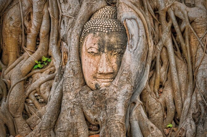 Glittering Ayutthaya Tour to Famous Sights, Market & Sunset Boat - Comfort, safety, and temple etiquette that actually help