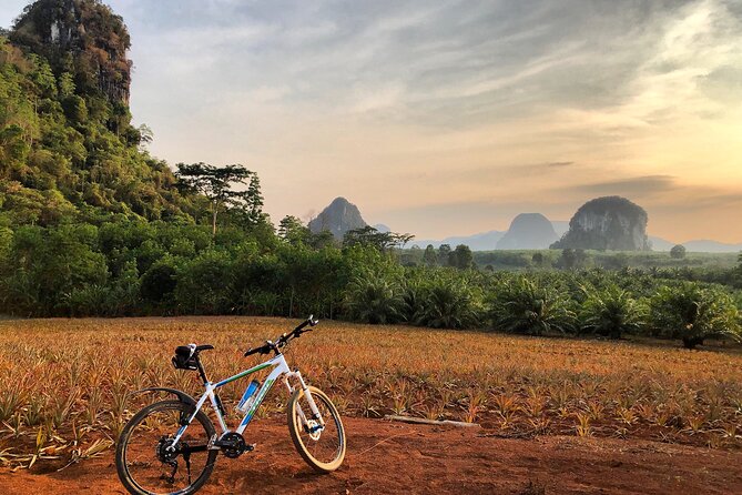 Guided Mountain Biking - Grand Tour - Trails of Ao Nang - The Main Ride: About 5 Hours Through Rural Krabi