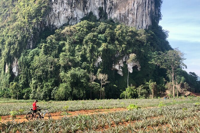 Guided Mountain Biking - Grand Tour - Trails of Ao Nang - Plantation Roads, Dirt Trails, and Those Nature Details