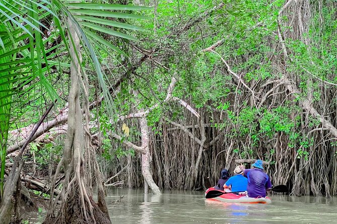 Half Day Canoe Boat Trip At Takuapa Little Amazon - Key Things to Know Before You Go