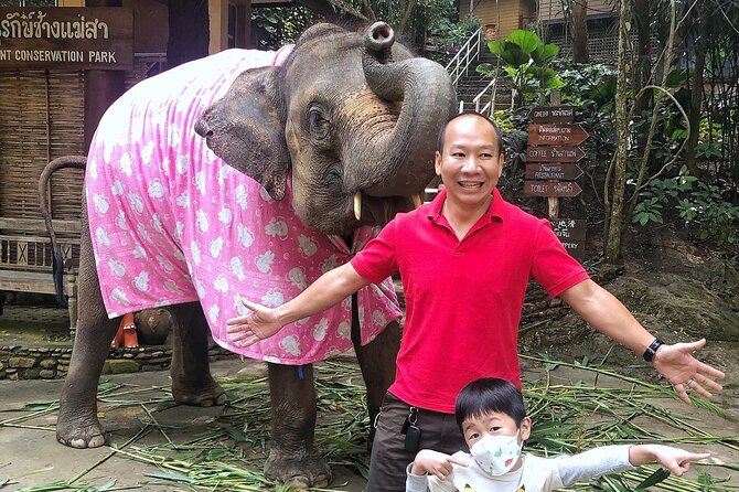 Half Day Car Hire with an English Speaking Driver in Chiang Mai - What’s included, what isn’t, and what to budget for
