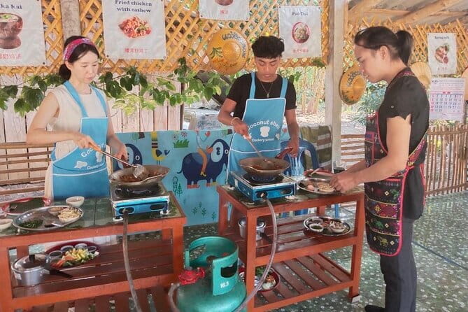 Half Day Chiang Mai Cooking Class and Market Taste Tour - Key Highlights You’ll Care About