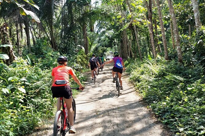 Half-Day Countryside Cycling Small-group Tour in Phuket - Key highlights worth knowing