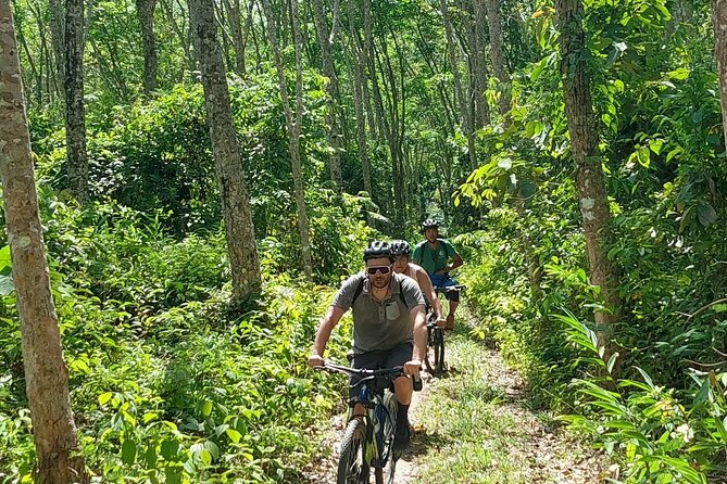Half-Day Countryside Cycling Small-group Tour in Phuket - Northern Phuket by bike beats another beach day
