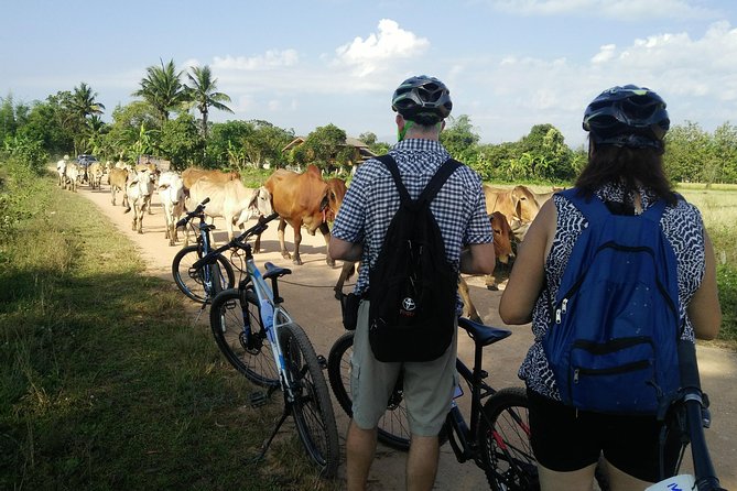 Half Day Cycling Tour to the White temple - Food and energy: lunch, snacks, and bottled water included