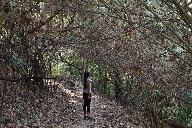 Half Day Doi Suthep Temple and short trekking on monk trail (Private Tour) - Doi Suthep in a half day: what makes this private format work