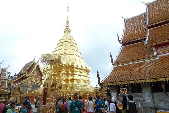 Half Day Doi Suthep Temple and short trekking on monk trail (Private Tour) - Monk Trail descent: short, real, and best done with good shoes