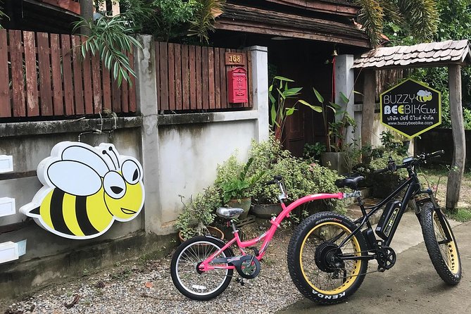 Half-day E-bike Countryside and rice paddies (flat land, GUIDED) - Fat-tire e-bikes plus a real guide (so you can relax)