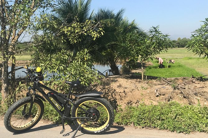 Half-day E-bike Countryside and rice paddies (flat land, GUIDED) - Ping River scenery and the farming rhythm you can actually feel